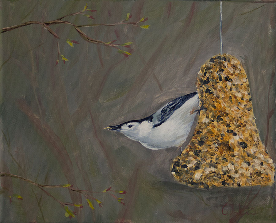 nuthatchfeeder