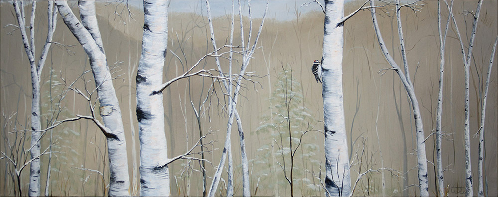 Winter Birch Forest Series
